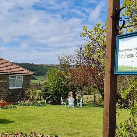 Woodpeckers Cottage Scarborough Exteriör bild