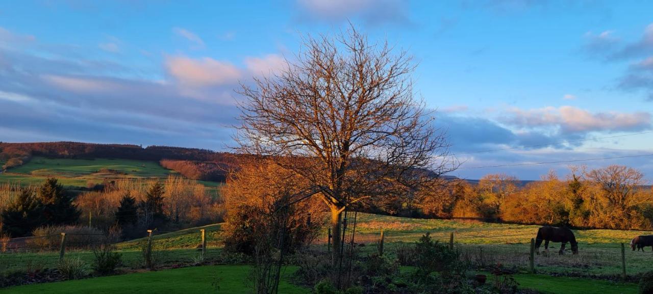 Woodpeckers Cottage Scarborough Exteriör bild